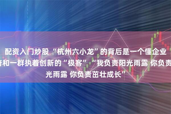 配资入门炒股 “杭州六小龙”的背后是一个懂企业需求的政府和一群执着创新的“极客” “我负责阳光雨露 你负责茁壮成长”
