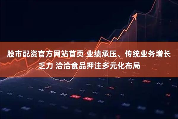 股市配资官方网站首页 业绩承压、传统业务增长乏力 洽洽食品押注多元化布局