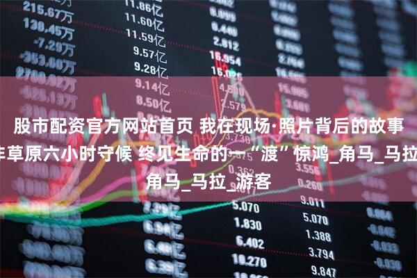 股市配资官方网站首页 我在现场·照片背后的故事｜东非草原六小时守候 终见生命的一“渡”惊鸿_角马_马拉_游客
