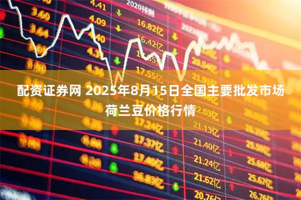 配资证券网 2025年8月15日全国主要批发市场荷兰豆价格行情